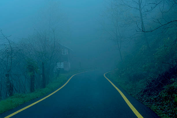 road scenery on a foggy day