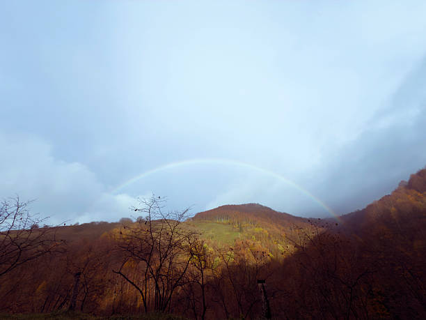 Aerial View beautiful rainbow after a rainstorm over the forest