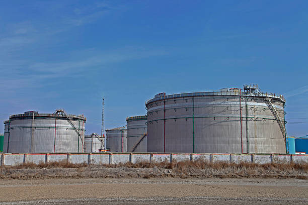 Petroleum chemical plant