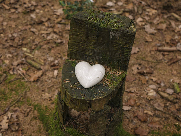 istock Small rustic wooden stump seat with white heart decoration in quiet mossy forest, surrounded by dry leaves, needles and natural woodland floor. 2254877256