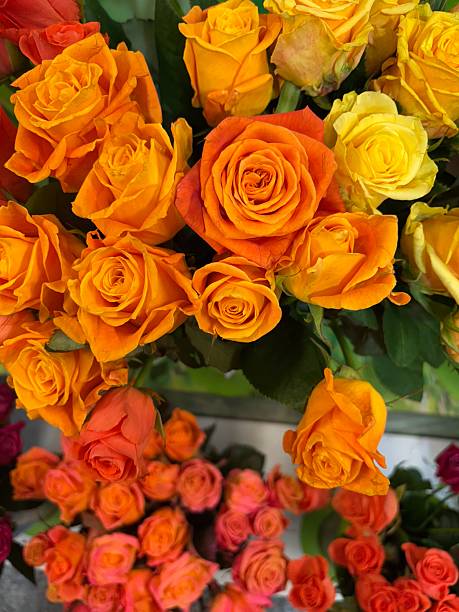 istock beautiful fresh multi-colored roses in the store 2254881261