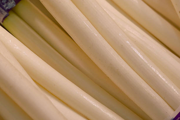 Fresh Japanese long green onions bundled