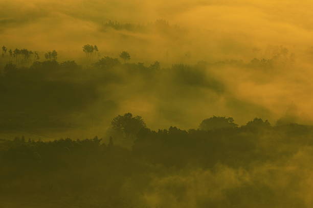 Sea of ​​clouds at dawn