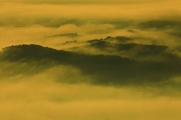 Sea of ​​clouds at dawn