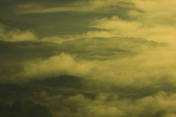 Sea of ​​clouds at dawn
