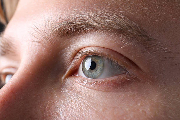 istock Closeup view of man with beautiful eyes 2254888544