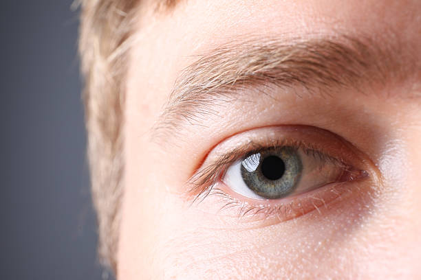 istock Man with beautiful eyes on grey background, closeup 2254888568