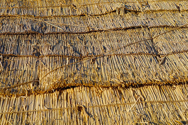 Traditional Korean straw mats keep the soil warm in winter.