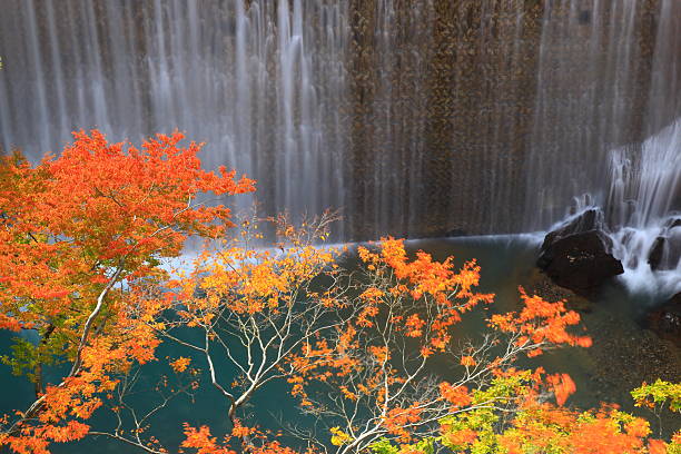 Autumn leaves scenery