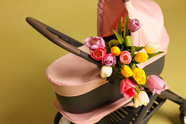 Stylish doll stroller and tulips on olive background. Kid's toy
