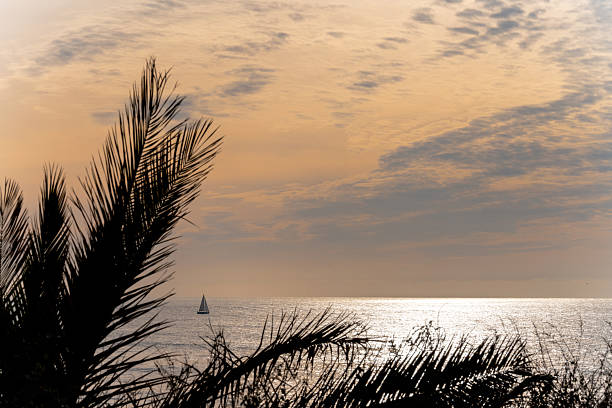 Palm leaves appear in silhouette against a glowing sunset sky above the Atlantic Ocean near Estoril