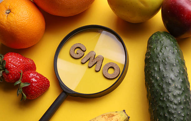 istock Word gmo through magnifying glass with fruits on yellow background. Bioengineering. Genetically modified products 2254896924