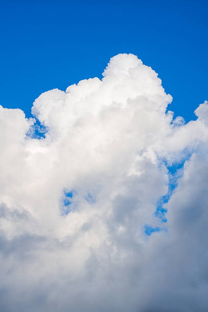 A large, billowy cumulus cloud rises against a deep blue sky, with soft edges and vibrant natural light creating a fresh, uplifting mood.