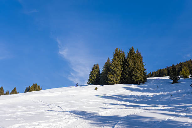 A sunlit snow-covered meadow stretches beneath a cluster of tall evergreen trees, casting crisp shadows under a vivid blue sky in the French Alps. Pristine snow and gentle slopes evoke a tranquil winter landscape.