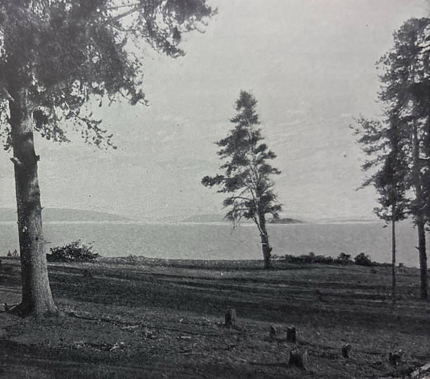 istock Antique illustration - shoreline of Yellowstone Lake 2254909208