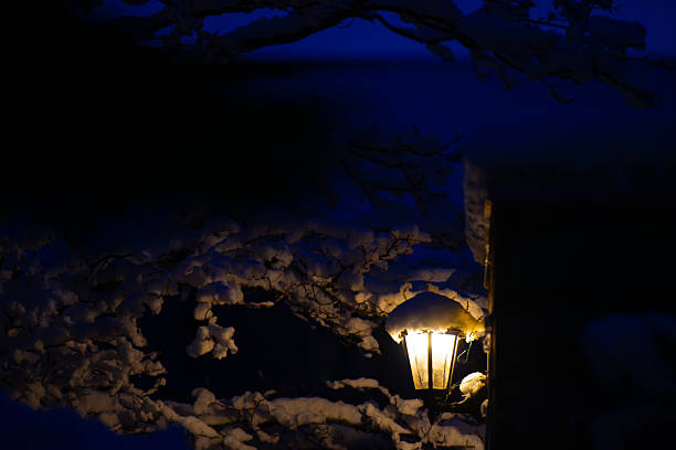 Snowy winter in an illuminated garden, Almere, Flevoland, Netherlands
