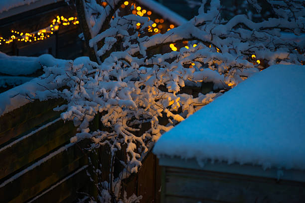 Snowy winter in an illuminated garden, Almere, Flevoland, Netherlands