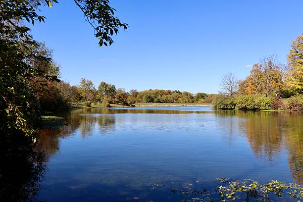 istock Calm Country Lake 2254922474