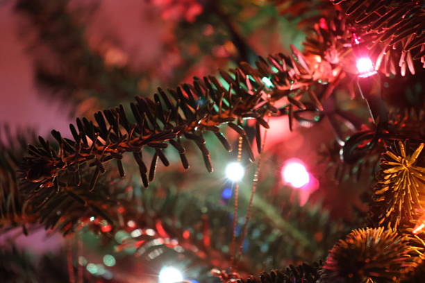 A warm interior photograph of A Christmas tree with lights and ornaments illuminating the inside of a house on a winter's night.