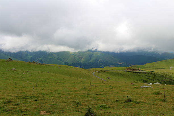 View from a hillside overlooking green scenery with a long empty road along the Camino de Santiago, photographed in July 2024.