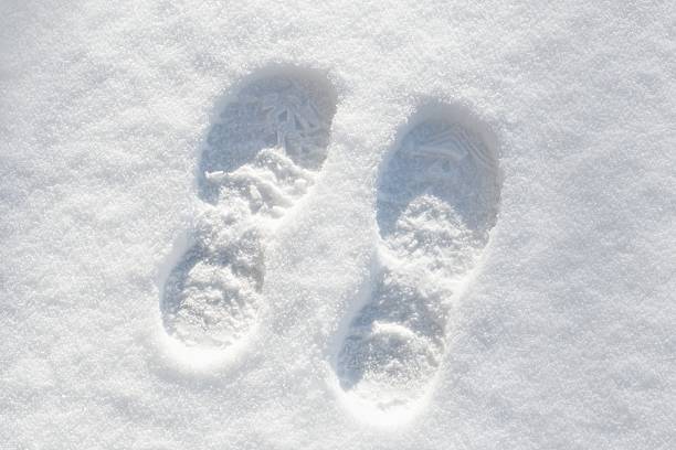 Pathway and human foot prints in the fresh snow