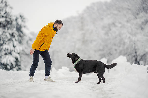 istock Man playing with black dog in snowy park 2254927364