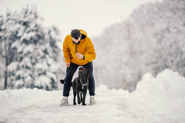 istock Young man playing with black labrador in snowy park 2254927378