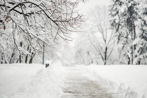 istock Winter park path covered with fresh white snow 2254927391