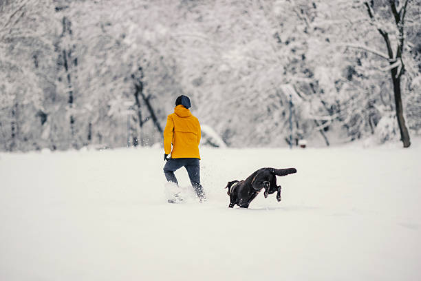 Man in bright yellow jacket jogs through deep snow in a winter park as a playful black labrador leaps beside him, enjoying the cold, active companionship and frosty landscape