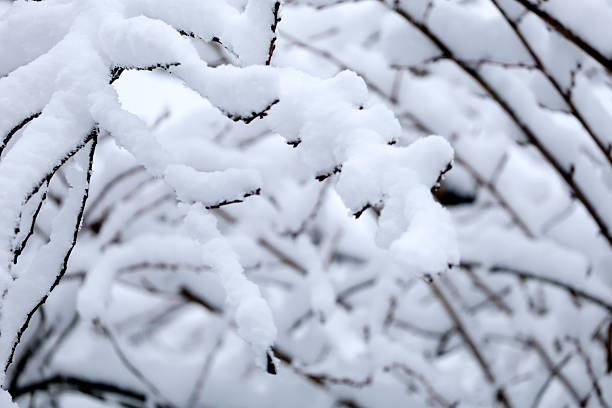 This Picture was made during a snow period in begin January of 2026 in the Netherlands.