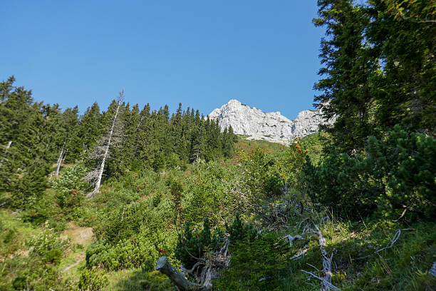 The Rax is a mountain range in the Northern Limestone Alps on the border of the Austrian federal provinces of Lower Austria and Styria. It´s just one hour drive from Austria´s capital Vienna