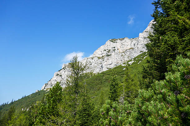 Beautiful Alpine mountain landscape. Alps of Hallstatt, Austria.
