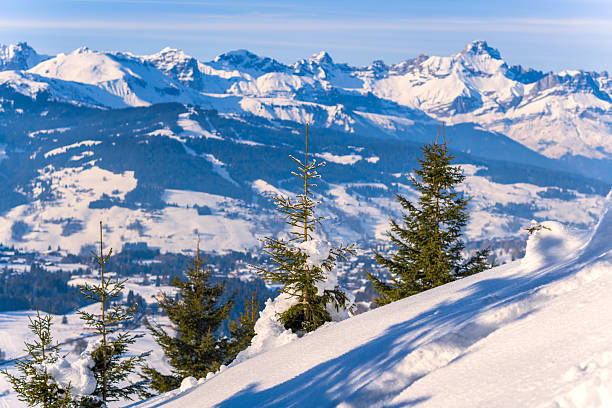 Small fir trees dusted with snow stand on a sunlit slope, with panoramic views of snow-covered mountains and a deep blue sky in the background. Crisp winter light enhances the contrast between the white snow and dark evergreens.