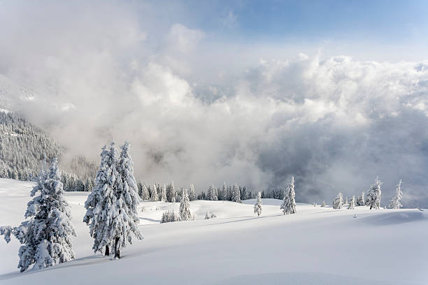 Beautiful Miles Canyon along the Yukon River outside of Whitehorse in northern Canada, Yukon Territory. Winter time with bright day, snowy landscape and boreal forest with a bright pink sunrise.
