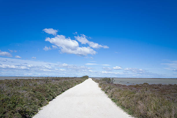 A straight white gravel road cuts between low marsh vegetation and salt flats under a vibrant blue sky with scattered clouds in the Camargue region. The open landscape evokes a sense of calm and wide open space.