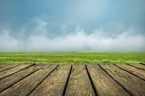 Weathered wooden porch made of old wooden floorboards in front of a meadow