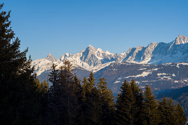 istock Jagged Mont Blanc peaks above pine forest 2254938888