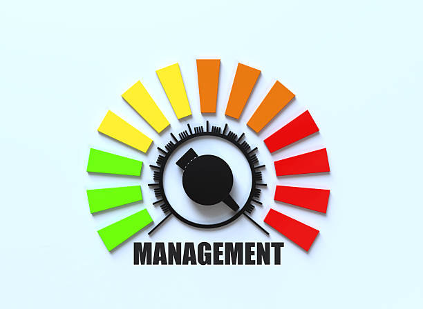 istock Concept of project management, organizing, controlling company resources 2254941908
