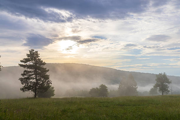 Fog covering green field and hills with sunbeams breaking through clouds