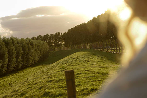 Golden sunlight rays breaking through trees over rolling green hills and countryside road, atmospheric rural landscape.