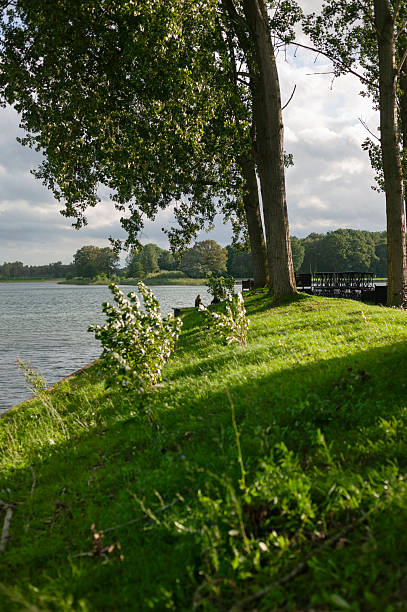 Peaceful lakeside view with lush green grass slope, tall trees and wooden dock, natural waterfront for recreation and relaxation concepts.
