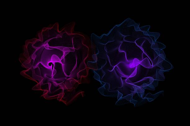 Colorful Abstract Flowing Waves on Black Background