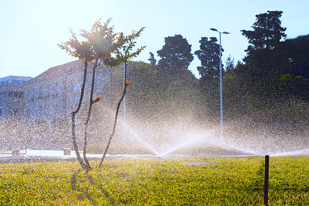 istock Sunlit sprinklers spray mist across lush green lawn 2254955827