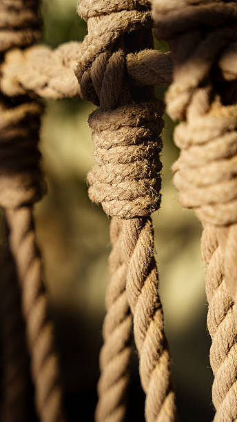 istock Brown textured rope with knotted connection detail 2254956404