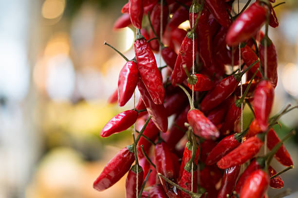 Santa Fe, NM: Faux Red Chili Pepper Ristras Retail Display