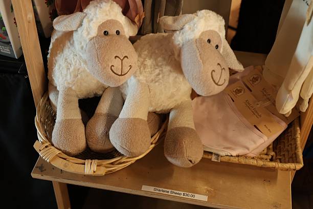 istock Sharlene Sheep 3000 Plush Toy Pair Display 2254960000