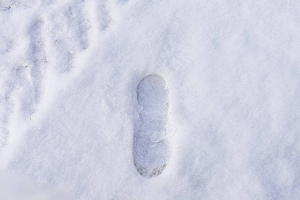 Single shoe footprint on fresh snow showing winter ground texture