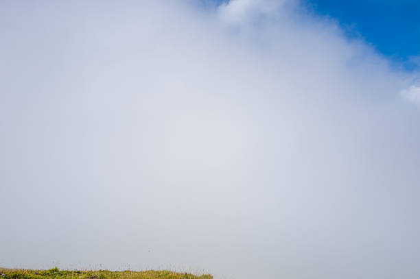 A dense layer of white mist covers most of an alpine meadow at Col du Bonhomme, with a hint of blue sky and clouds peeking through in the upper corner, creating a tranquil and minimalist scene.