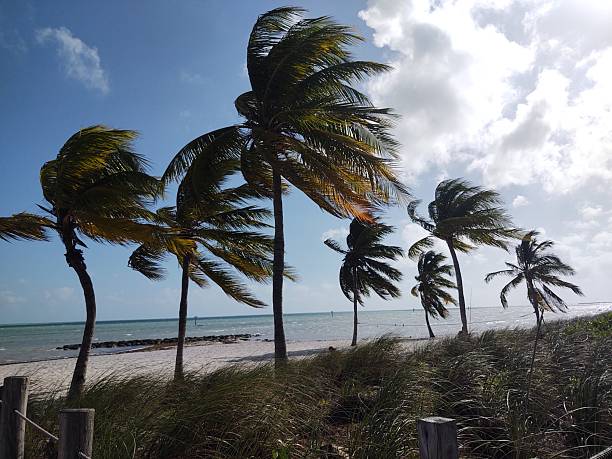 Beautiful beach views on a windy day in the Florida Keys.