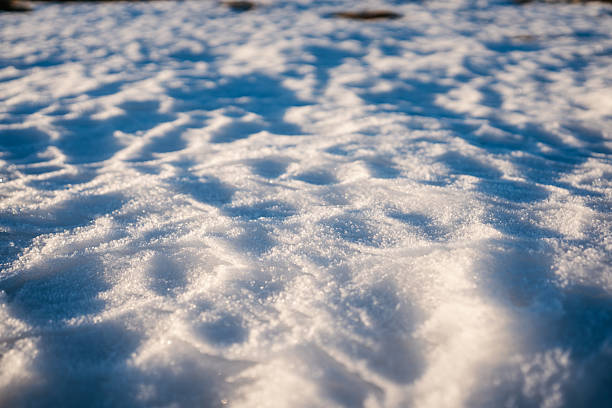 A macro close-up of a pristine yet naturally shaped snow-covered ground, featuring soft ridges, compacted patterns, and subtle depressions across the surface. Fine ice crystals and granular texture are sharply visible in the foreground, catching gentle light reflections. Organic shadow gradients stretch across the frame, created by low-angle natural light, suggesting early morning or late afternoon illumination in a winter environment. The shallow depth of field highlights the intricate details of the snow while the background remains smoothly defocused, preserving a calm and atmospheric seasonal context. The composition emphasizes natural winter textures, light interplay, minimalistic outdoor scenery, and environmental authenticity, suitable for creative or editorial concepts involving seasonal backgrounds, cold climate, nature textures, tranquility, or winter design inspiration.